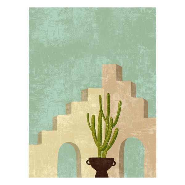 Potted Cactus